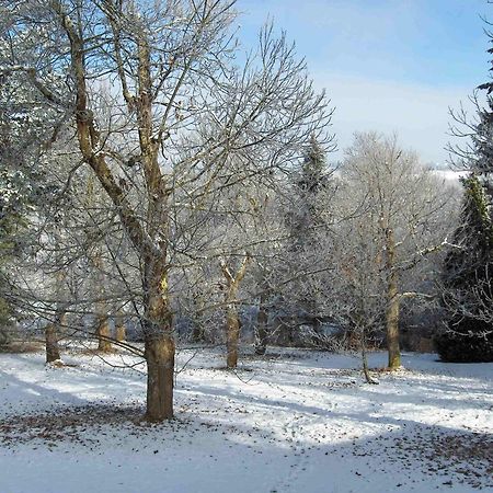 Chambres D'Hotes Le Chalet Condat-sur-Vienne Exteriör bild