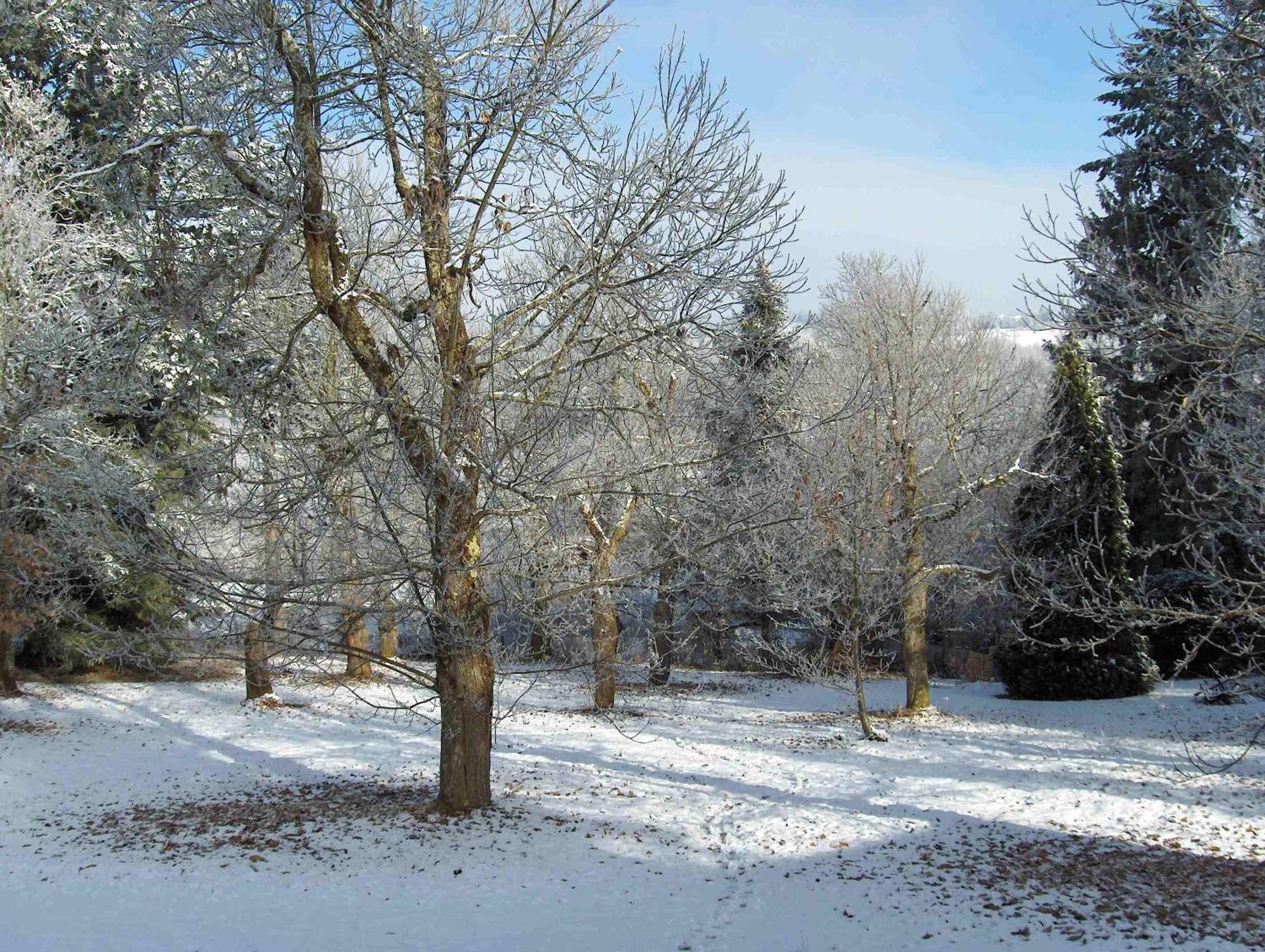 Chambres D'Hotes Le Chalet Condat-sur-Vienne Exteriör bild